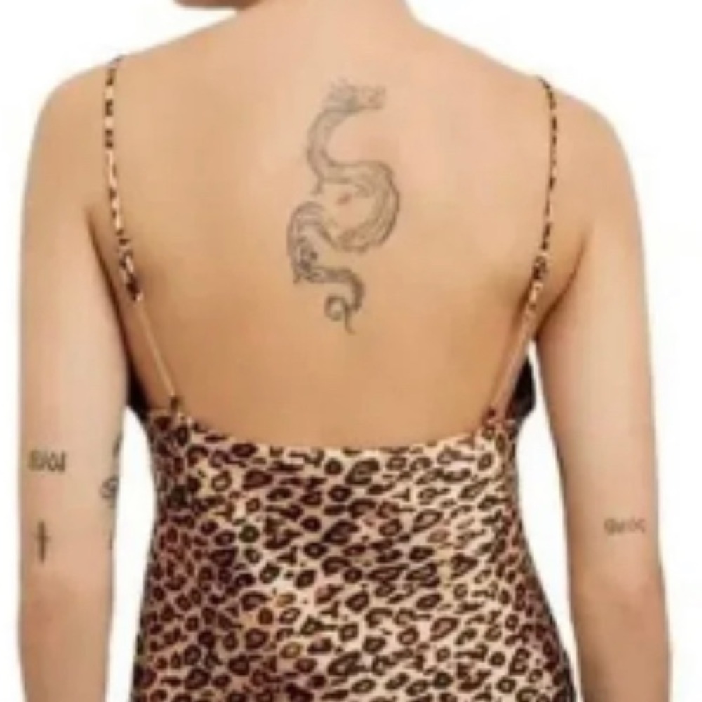 NWT Zara Leopard Crop Tank Top - Picture 2 of 4